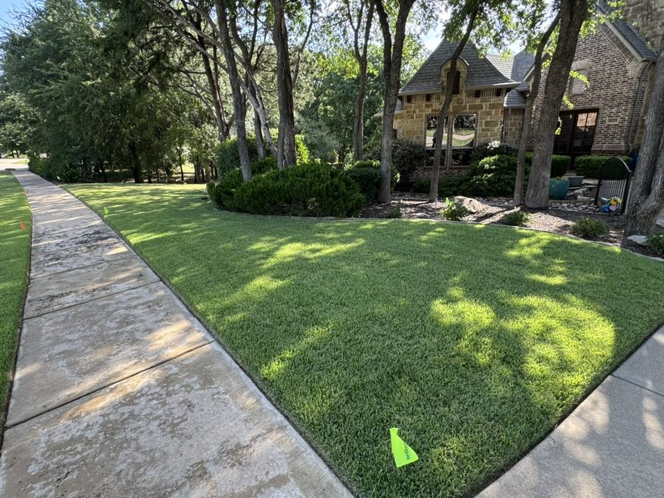 After: the same property sodded back and draining, first storm following the Waterline French drain install